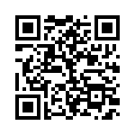 BKT-165-01-L-V QRCode