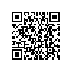 BKT-167-01-L-V-A-P QRCode