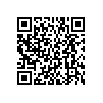 BKT-167-01-L-V-S-P QRCode