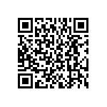 BKT-167-04-F-V-S QRCode