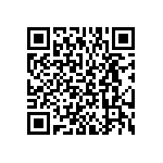 BKT-167-04-L-V-P QRCode