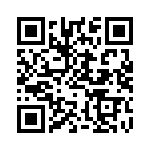 BQ294704DSGR QRCode