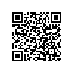 BR230-290C2-28V QRCode