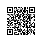 BR93A46RFVM-WMTR QRCode