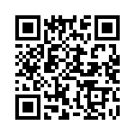 BVB01-Z0000-12 QRCode