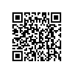 BYT28F-300-E3-45 QRCode