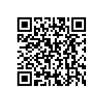 BZ016010BE95013BG1 QRCode