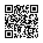 BZT52-C4V3J QRCode