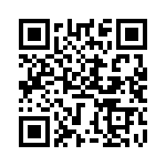 BZT55A5V1-GS08 QRCode