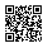 BZT55B10-L1G QRCode