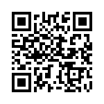 BZT55B2V4-GS08 QRCode