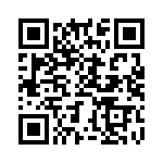 BZT55B33-L1G QRCode