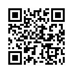 BZT55B3V3-L0G QRCode