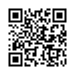 BZT55B3V9-L0G QRCode