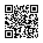 BZT55B4V3-L0G QRCode