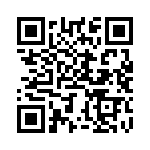 BZT55B5V6-GS08 QRCode