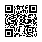 BZT55C13-GS08 QRCode