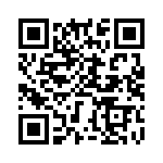 BZT55C27-L1G QRCode