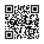 BZT55C3V3-GS08 QRCode