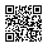 BZT55C5V1-GS08 QRCode