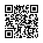 BZV01-Z0000-10 QRCode