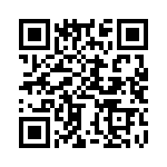 BZV04-Z0000-04 QRCode