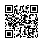 BZV55C4V3 QRCode