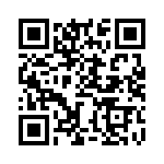 BZW04-11-R1G QRCode