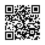 BZW04-13 QRCode