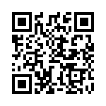 BZW04-13B QRCode