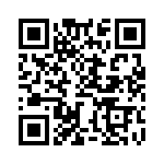 BZW04-13BHR1G QRCode