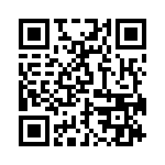 BZW04-171-R1G QRCode