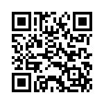 BZW04-17HR1G QRCode