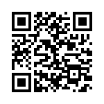 BZW04-20-R1G QRCode