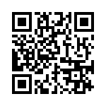 BZW04-213B-R1G QRCode