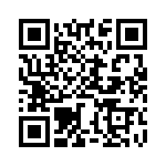 BZW04-256-A0G QRCode