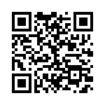 BZW04-256B-R1G QRCode