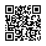 BZW04-28-R1G QRCode