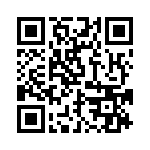 BZW04-28HR1G QRCode