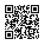 BZW04-299-A0G QRCode