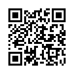 BZW04-299B-A0G QRCode