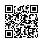 BZW04-299B-R1G QRCode