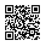 BZW04-299BHR1G QRCode