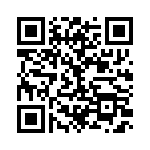 BZW04-299HR1G QRCode