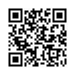 BZW04-33-R1G QRCode