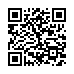 BZW04-33 QRCode