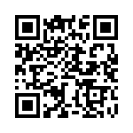 BZW04-37-E3-54 QRCode