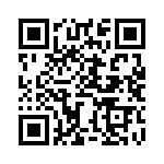 BZW04-376BHR1G QRCode