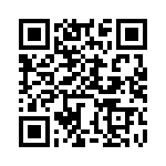 BZW04-64-B0G QRCode