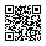 BZW04-94-R1G QRCode